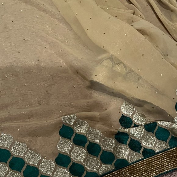 Pure Geogette embroidered designer Rangoli sequin saree - Picture 6 of 12